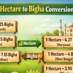 Popular Hectare to Bigha Conversions